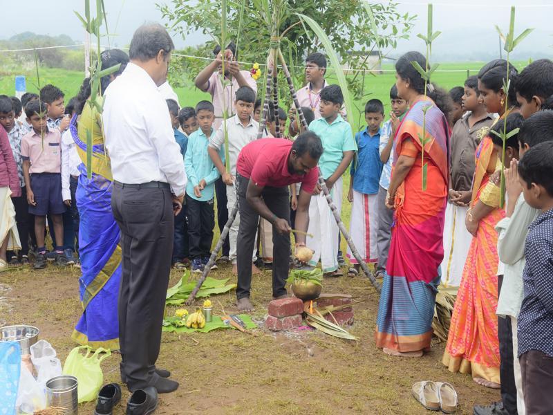 Pongal Celebration