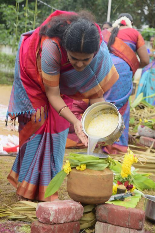 Pongal Celebration
